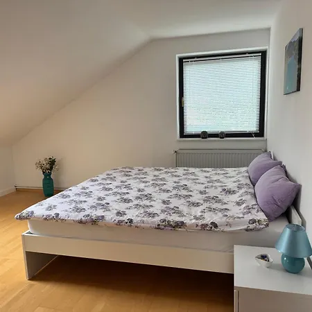 Apartman Immenzaun *